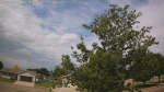 Web Cam Image - Sat, 06/13/2026 10:20am CDT