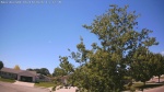 Web Cam Image - Sun, 06/14/2026 12:43pm CDT