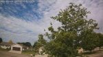 Web Cam Image - Thu, 06/18/2026 8:59am CDT