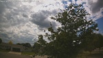 Web Cam Image - Mon, 06/22/2026 3:05pm CDT