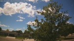 Web Cam Image - Wed, 06/10/2026 1:44pm CDT