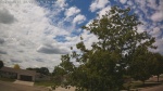 Web Cam Image - Mon, 06/22/2026 12:05pm CDT