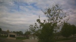 Web Cam Image - Thu, 05/21/2026 9:19am CDT