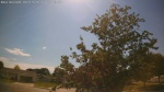 Web Cam Image - Mon, 06/15/2026 2:16pm CDT
