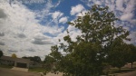 Web Cam Image - Mon, 06/22/2026 12:04pm CDT