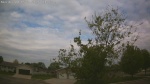 Web Cam Image - Thu, 05/21/2026 9:16am CDT