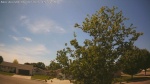 Web Cam Image - Mon, 06/01/2026 2:59pm CDT