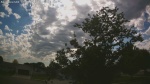 Web Cam Image - Thu, 06/04/2026 4:41pm CDT