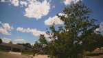 Web Cam Image - Wed, 06/10/2026 1:38pm CDT