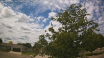 Web Cam Image - Mon, 06/22/2026 11:59am CDT