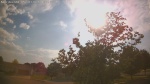 Web Cam Image - Sun, 05/31/2026 5:49pm CDT