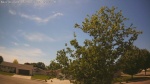 Web Cam Image - Mon, 06/01/2026 2:55pm CDT