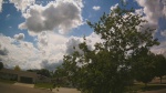 Web Cam Image - Wed, 06/03/2026 2:49pm CDT
