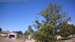 Web Cam Image - Sun, 06/14/2026 9:32am CDT