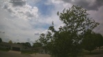 Web Cam Image - Thu, 05/28/2026 1:59pm CDT