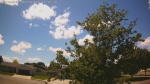 Web Cam Image - Wed, 06/10/2026 1:34pm CDT