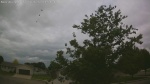 Web Cam Image - Mon, 06/08/2026 9:13am CDT