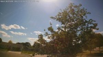 Web Cam Image - Tue, 06/23/2026 3:23pm CDT