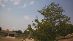 Web Cam Image - Sat, 06/27/2026 9:55am CDT