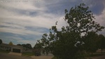 Web Cam Image - Sun, 06/07/2026 1:38pm CDT