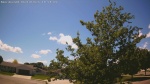 Web Cam Image - Wed, 06/10/2026 1:31pm CDT