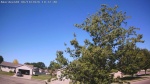Web Cam Image - Sun, 06/14/2026 9:26am CDT