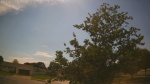 Web Cam Image - Mon, 06/15/2026 2:04pm CDT