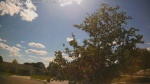 Web Cam Image - Tue, 06/23/2026 3:22pm CDT