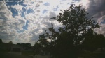 Web Cam Image - Thu, 06/04/2026 4:31pm CDT