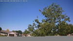 Web Cam Image - Sat, 06/06/2026 10:10am CDT