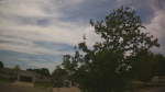 Web Cam Image - Sun, 06/07/2026 1:37pm CDT