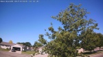 Web Cam Image - Sun, 06/14/2026 9:22am CDT
