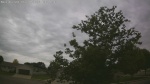Web Cam Image - Sun, 06/21/2026 9:01am CDT