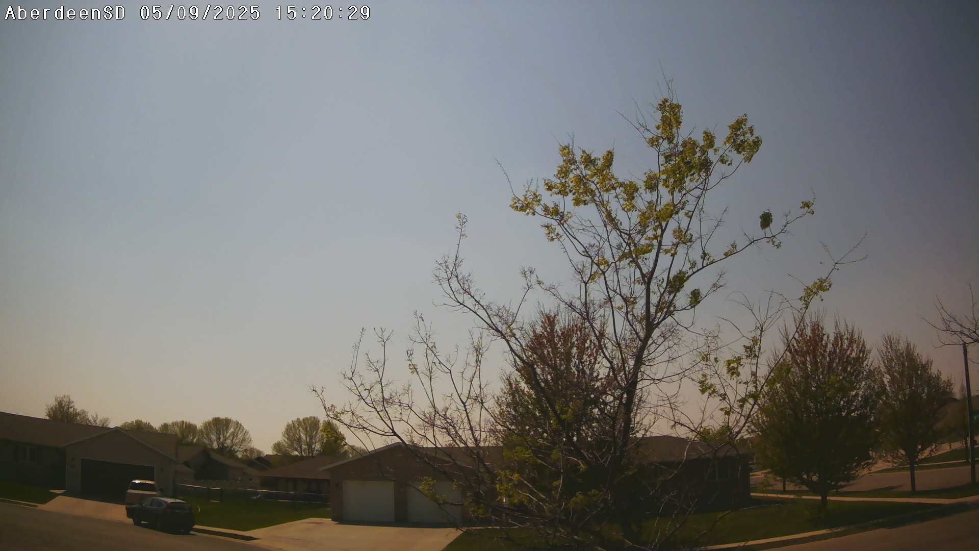 Web Cam History Image - 110