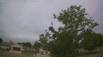 Web Cam Image - Sun, 05/31/2026 9:52am CDT