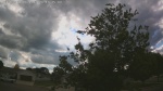 Web Cam Image - Wed, 06/17/2026 4:55pm CDT