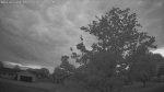 Web Cam Image - Sat, 06/20/2026 8:35pm CDT