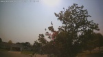 Web Cam Image - Wed, 07/01/2026 4:16pm CDT