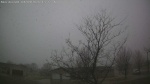 Web Cam Image - Thu, 04/09/2026 11:46am CDT
