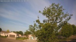 Web Cam Image - Thu, 05/28/2026 7:11am CDT