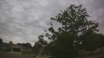Web Cam Image - Sun, 06/21/2026 8:58am CDT