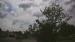 Web Cam Image - Thu, 05/28/2026 1:46pm CDT