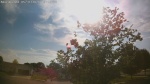 Web Cam Image - Sun, 05/31/2026 5:34pm CDT