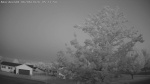 Web Cam Image - Sat, 06/06/2026 4:43am CDT