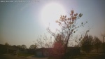 Web Cam Image - Fri, 05/09/2025 1:52pm CDT