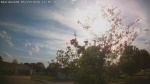 Web Cam Image - Sun, 05/24/2026 5:40pm CDT