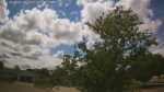 Web Cam Image - Wed, 06/03/2026 2:31pm CDT