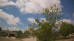 Web Cam Image - Sat, 05/23/2026 12:08pm CDT