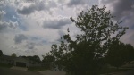 Web Cam Image - Thu, 05/28/2026 1:41pm CDT