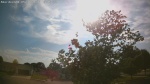Web Cam Image - Sun, 05/31/2026 5:29pm CDT